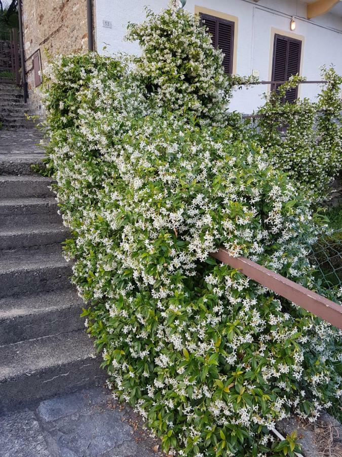 La Palma Villa Miazzina Luaran gambar